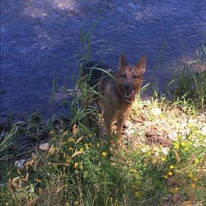 Meet your Posher, Carlos